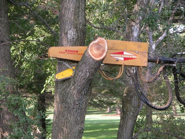 Tele-Saw cutting a limb.